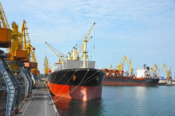Bulk cargo ship under port crane