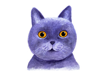 Portrait of a British blue cat. Watercolor illustration.
Lovely muzzle of a British blue cat. Print for T-shirts, fabrics, cover for notebooks. Drawing for printing, graphic design.