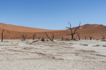 Sossusvlei dead valley