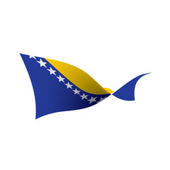 Bosnia and Herzegovina flag, vector illustration