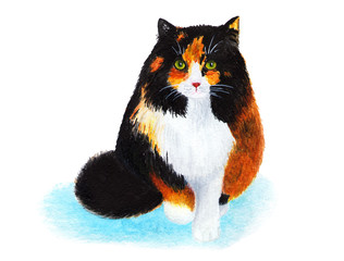 Tricolor cat. She walks through the snow. Watercolor illustration. Tricolor cat goes to meet the camera. Very fluffy cat. Portrait of a cat on a white background. Print for printing.
