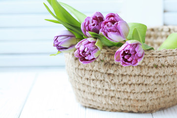 Knitted basket of jute with purple tulips on a white background. Selective focus
