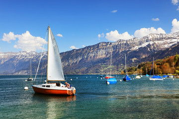 Fototapeta premium View of Brienzersee in the summer, Interlaken, Bernse Oberland, Switzerland