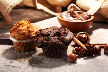 Chocolate muffin and nut muffin, homemade bakery on grey background