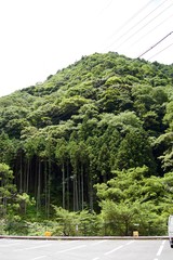 Parking lot near Akame 48 Waterfalls: Mysterious trails, giant trees, lush vegetation, cascading waterfalls and enormous amphibians in rural Japan close to Osaka and Kyoto