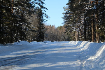The road in the winter coniferous forest.