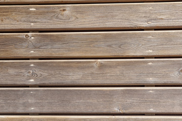 Close up pine wood plank texture and background