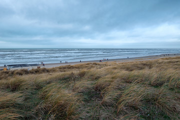 Fototapeta na wymiar Am Strand der niederländischen Nordsee