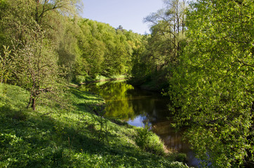 River Desna in the forest