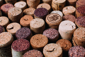 Wine