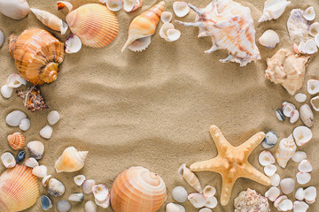 Seashells and pebbles background, natural seashore stones