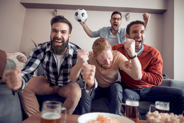 Fans of soccer watching match