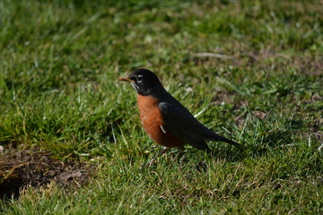 I think that FEMALE just looked my way.