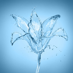 Fototapeta na wymiar flower made of water splashes isolated on empty background