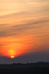 Sonnenaufgang Müritz Nationalpark im Frühjahr mit Nebel und Frost