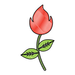 flower icon over white background, colorful design vector illustration