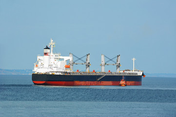 Pilot assisting bulk cargo ship