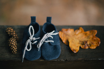 baby booties with autumn leaves background