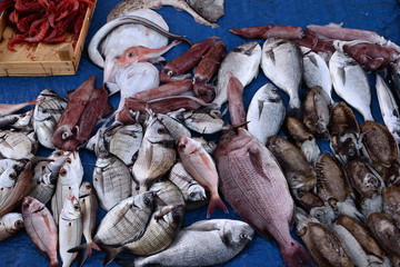 Fish market, mixed exposure of fish
