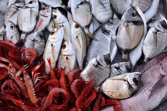 Fish market, mixed exposure of fish
