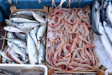 Fish market, mixed exposure of fish
