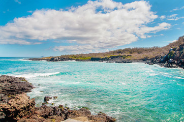 Obraz premium Galapagos Islands. Landscape of the Galapagos Islands. Cliffs stretching into the ocean