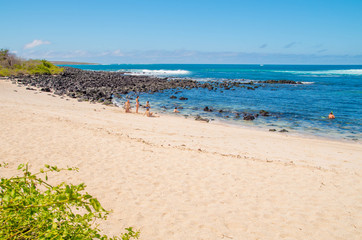 Gorgeous view of Galapagos Islands with some tourists swimming in the water of the Galapagos Islands. With rocks in the ocean