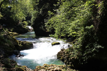 Obraz premium vintgar gorge, slovenia