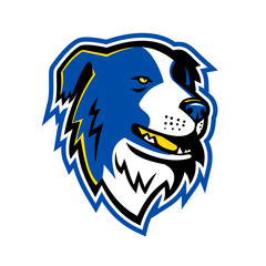 Border Collie Dog Mascot