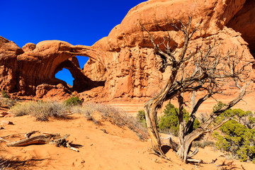 Arches National Park