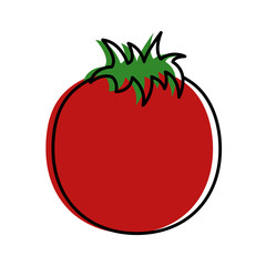 fresh tomato vegetable nutrition healthy lifestyle food vector illustration