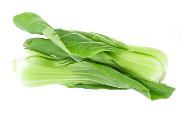 Chinese cabbage on a white background