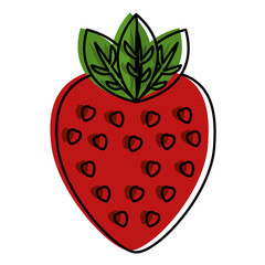 Obraz premium strawberry fruit nutrition diet fresh healthy lifestyle vector illustration