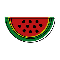 watermelon fruit nutrition diet fresh healthy lifestyle vector illustration