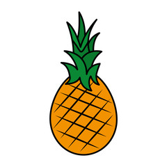 pineapple fruit nutrition diet fresh healthy lifestyle vector illustration