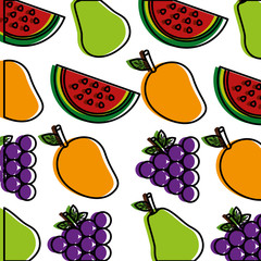 background fresh nutrition mango grapes watermelon vector illustration