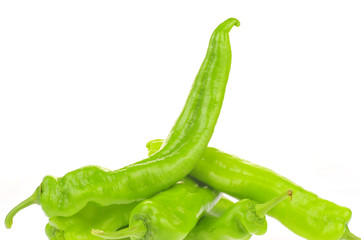 Isolated in the white background of green pepper