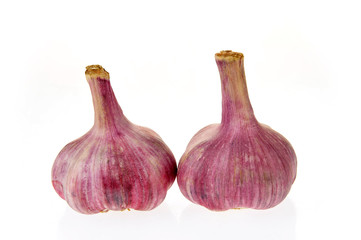 Fototapeta premium Garlic isolated on white background