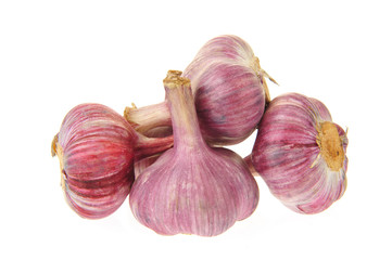 Garlic isolated on white background