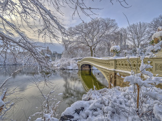 Central Park, New York City