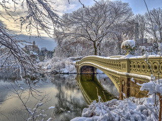 Central Park, New York City