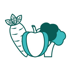 vegetables food healthy lifestyle bell pepper carrot broccoli vector illustration green image