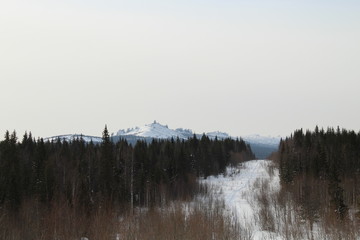 view of the mountain behind the forest