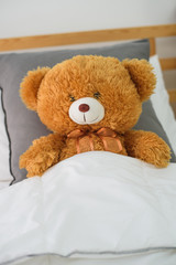 Teddy bear on the bed