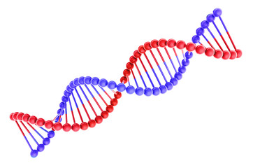 DNA Helix Isolated on White Background 3D Illustration