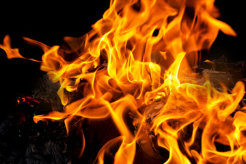 Blaze fire flame - Burning fire on black background