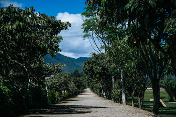 Obraz premium Oxapampa - Perú