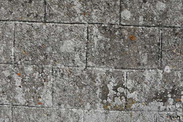 texture