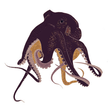 Octopus. Isolated object