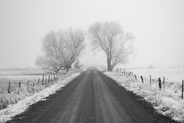 Creepy road in Winter
